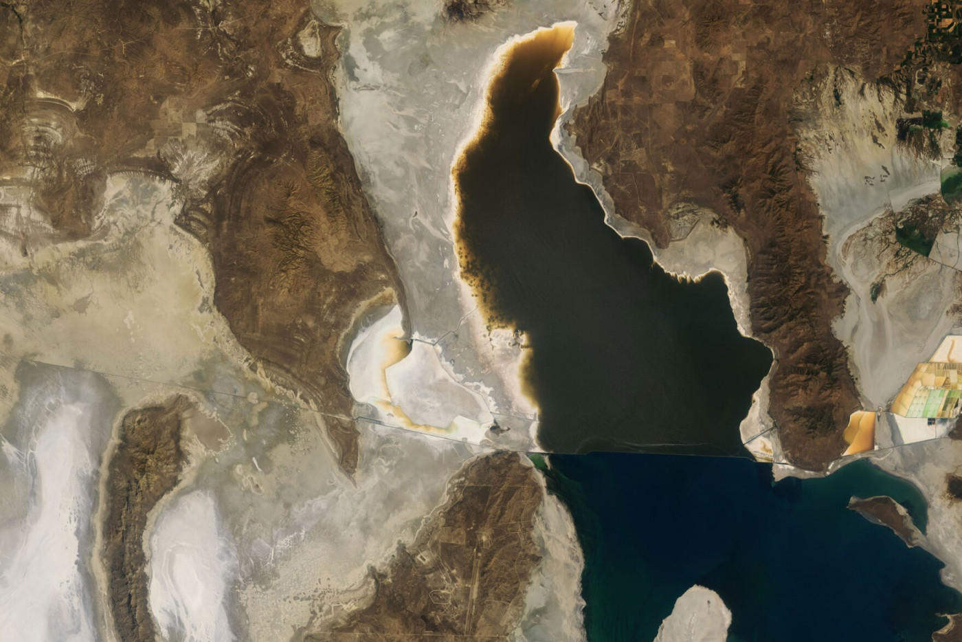 The drying north end of the Great Salt Lake as captured by Landsat 8 on July 24, 2021. Courtesy NASA 